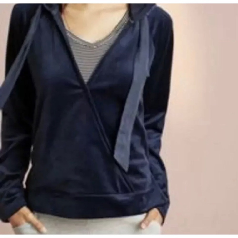 Anthropologie Saturday Sunday Velvet Velour Hoodie A3